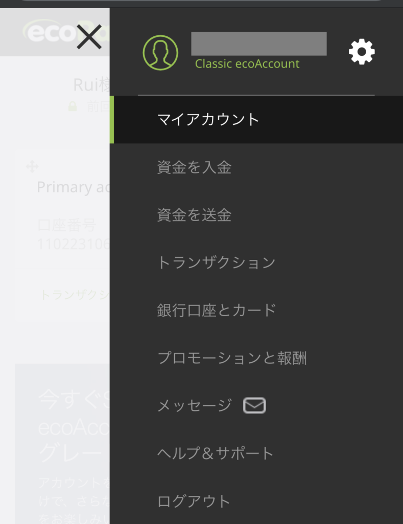 ecopayz10