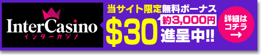 インターカジノバナー