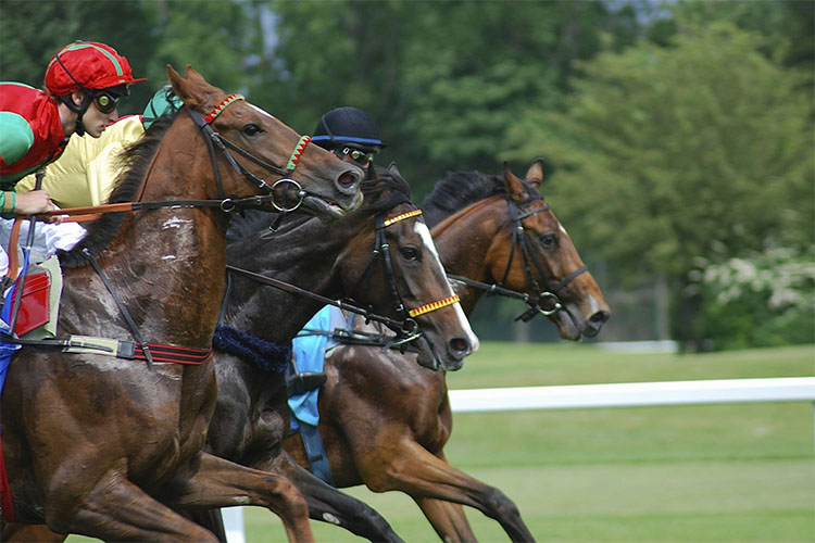 ビーベット(BeeBet)で凱旋門賞2022にベットしよう！競馬スペシャルベット