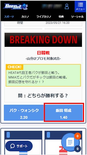 ブレイキングダウン8の賭け方