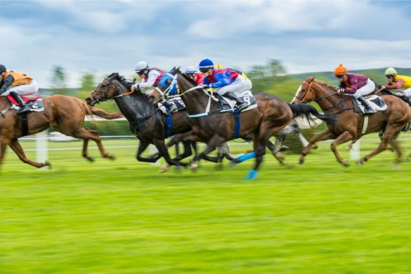 ブックメーカー競馬おすすめ3選！メリットやデメリット、買い方も解説