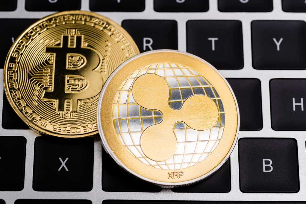 ビットカジノのロイヤリティクラブ