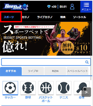 RIZINベット方法