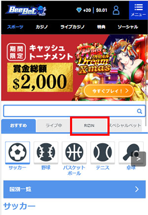 RIZINベット方法